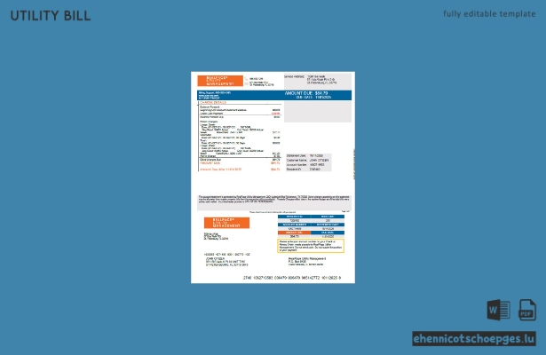 Russland Realpage Utility Management Beispielrechnungsvorschau